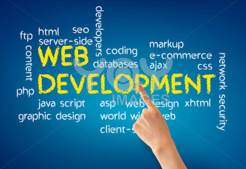 Web Development Service