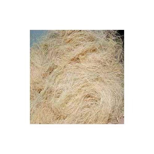 White Coir Fiber