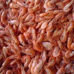 Frozen Shrimp