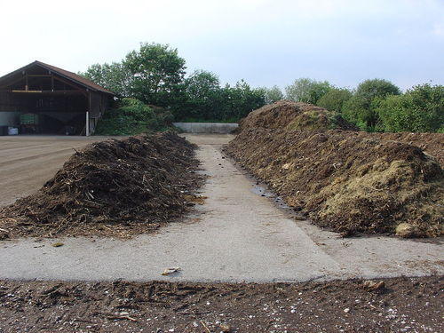 MSW Composting Fertilizers Culture