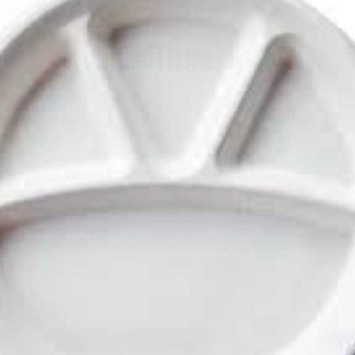 Disposable Paper Thermal Plates