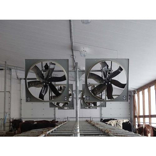 Electric Dairy Panel Fan