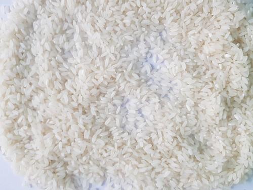 कच्चा स्वर्ण और लघु चावल