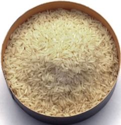 Sona Masuri Rice 