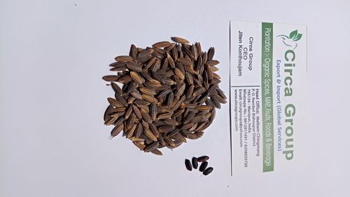 High Quality Black Rice Seed