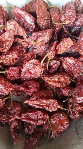 Jalokia Chillies Smock Dry