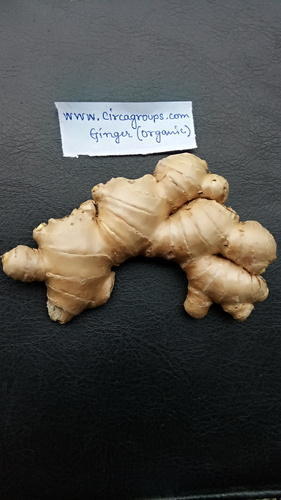 Organic Fresh Ginger