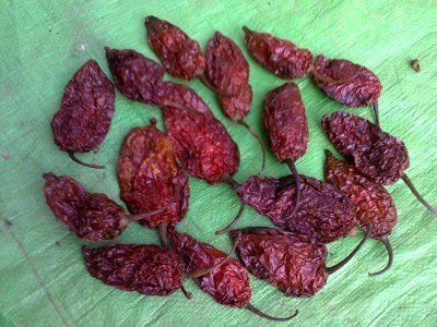 Top Qulaity Naga Chilies