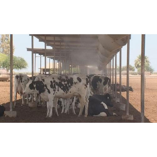 Cattle Farm Cooling System