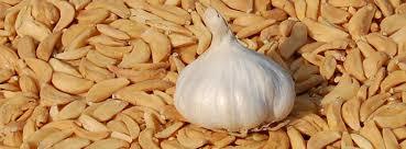 Highly Nutrition Dehydrated Garlic