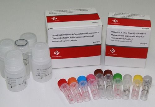 HBV Quantitative Fluorescence Diagnostic Kit