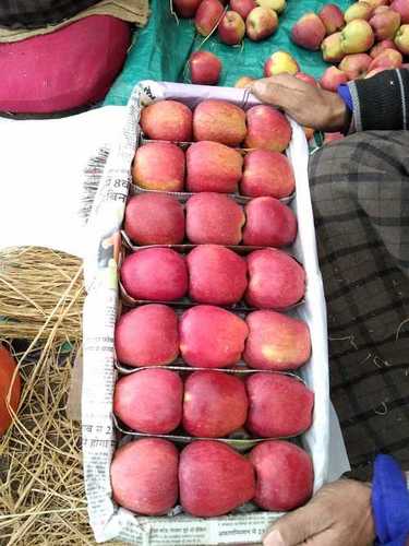 Kashmiri Delicious Apple Fruit