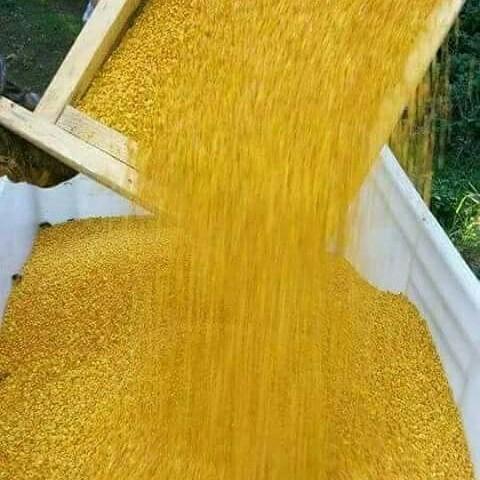 100% Pure Dry Bee Pollen