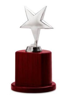 Star Shaped Metal Trophy