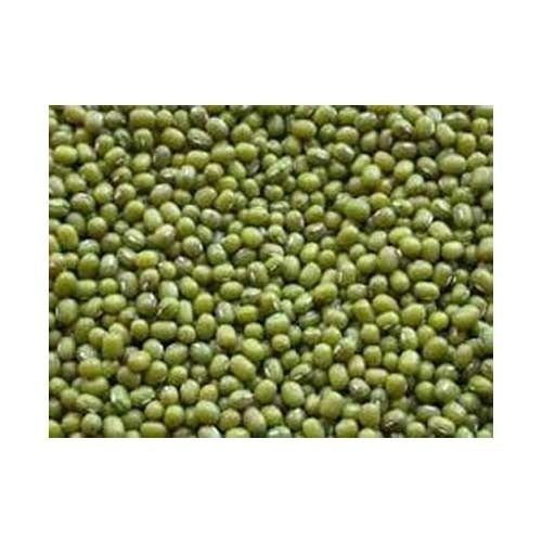 Green Mung Beans