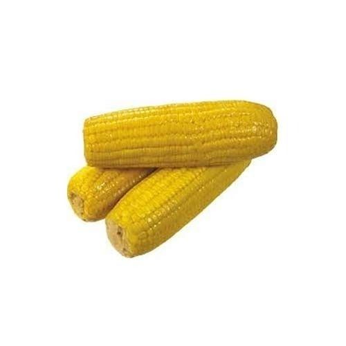Long Shelf Life Yellow Corn