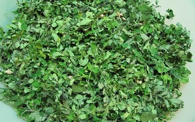 Moringa Dry Leaf