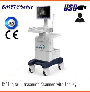 Clear Display 15 Inch Digital Ultrasound Scanner With Trolley