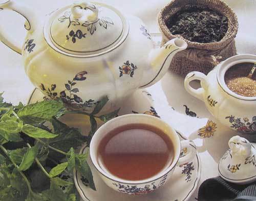 Fresh Nilgiri Tea