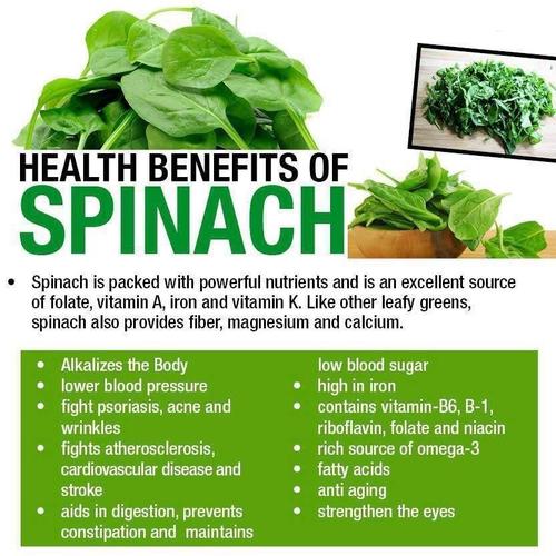 Natural Green Spinach Powder