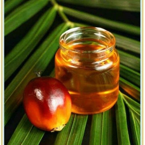 Palm Kernel Oil For Cholesterol 