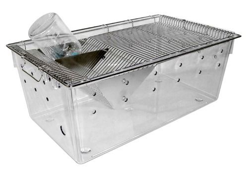 Polypropylene Rat Cage With Ss Grill Application: Small Animals