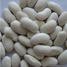 Dried White Kidney Beans