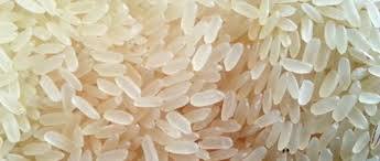 White IR 8 Basmati Rice