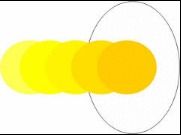 Pure Egg Yellow Colour