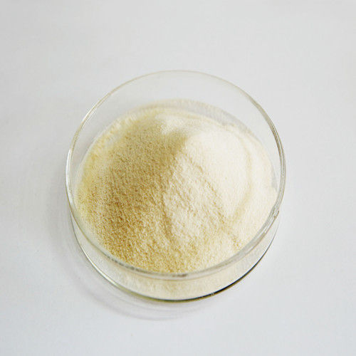 Lysozyme Powder From Microbes Fermentatioin