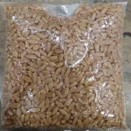 Indian Organic Wheat Grains