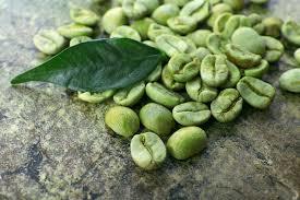 Highly Demanded Green Coffee Beans