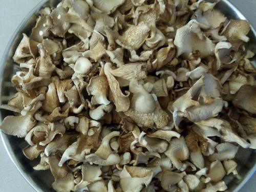 Dry Oyster Mushroom (Sajor Caju) 