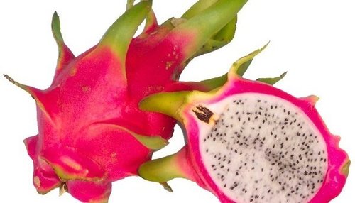 Pure Fresh Dragon Fruit By TMT FOODS IMPORT EXPORT JOINT STOCK COMPANY