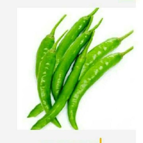 Organic Hot Green Chilli