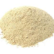 Dry Oyster Mushrooms Powder