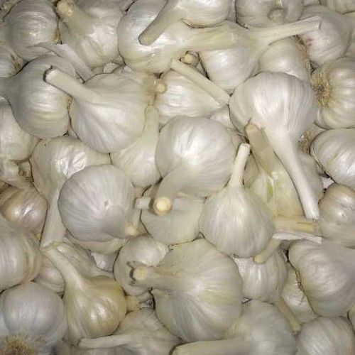 Marble Fresh Pure White Garlic