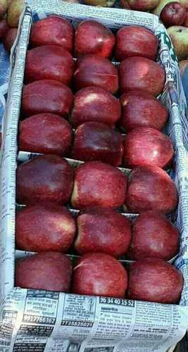 Fresh Farm Red Apples