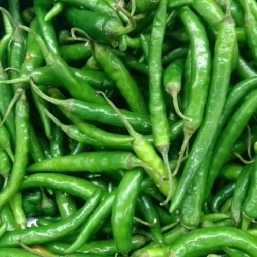 Fresh Green Chillies Vegetable