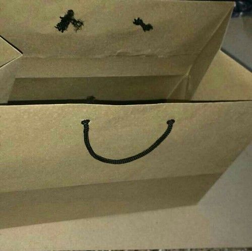 Brown Paper Carry Bag