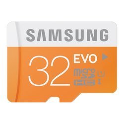 32 GB Class 10 Micro SD Memory Card (Samsung)