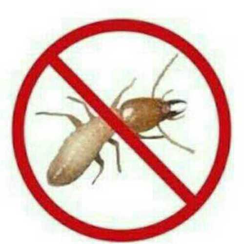 Bed Bugs Control Service By INDIAN STANDARD PEST CONTROL (ISPC)