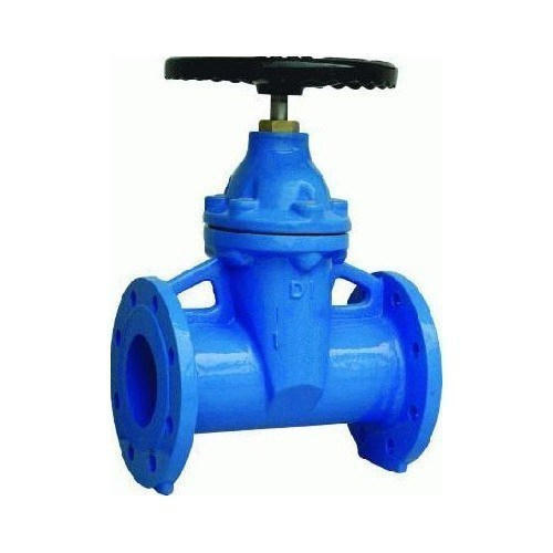 Cast Iron Valve