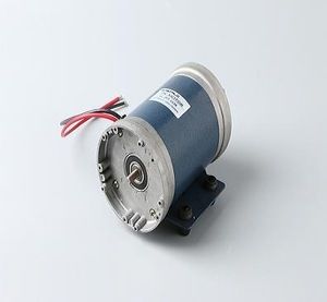 12V/24V/36V/48V Ball Bearing DC Pumps Motor