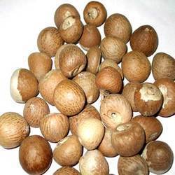 Common Whole Type Betel Nut