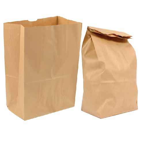 Plain Brown Paper Bag