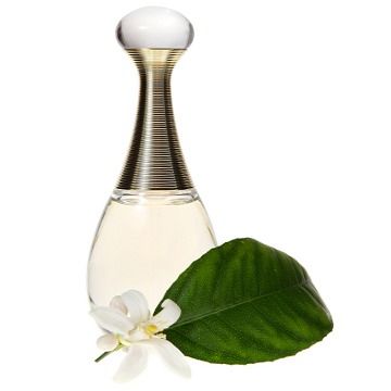 Floral Fragrance Perfumes