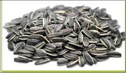 Sunflower Seeds