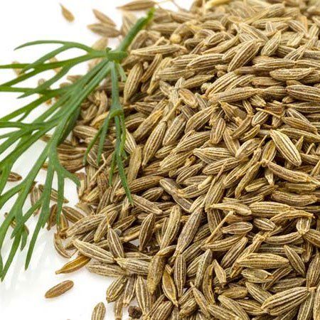 Fresh Organic Cumin Seeds