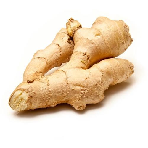 Fresh Natural And Organic Ginger